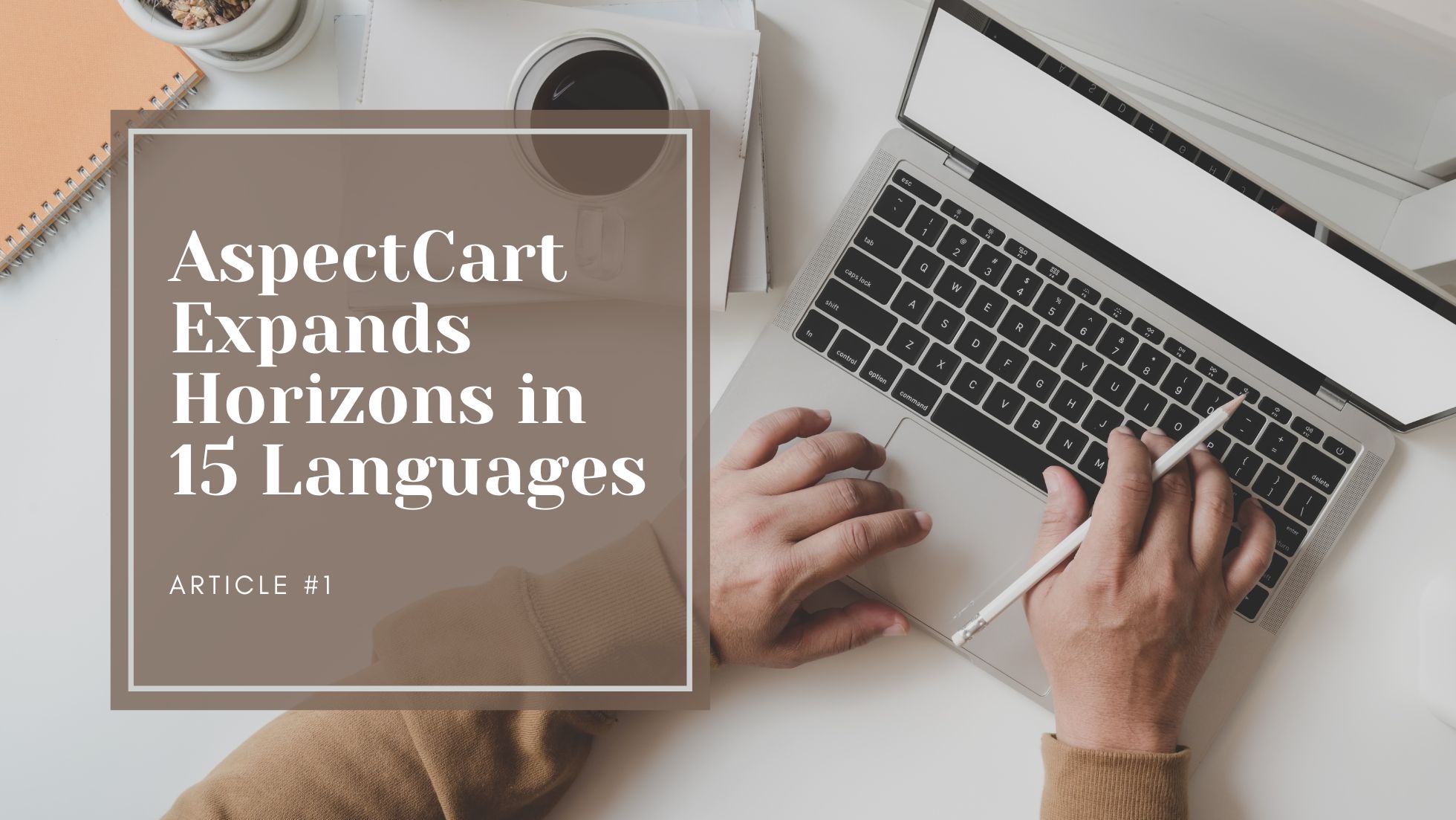 Global ecommerce with AspectCart multilingual platform